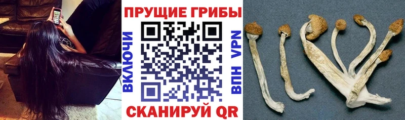 Галлюциногенные грибы мухоморы  блэк спрут вход  Старая Русса 